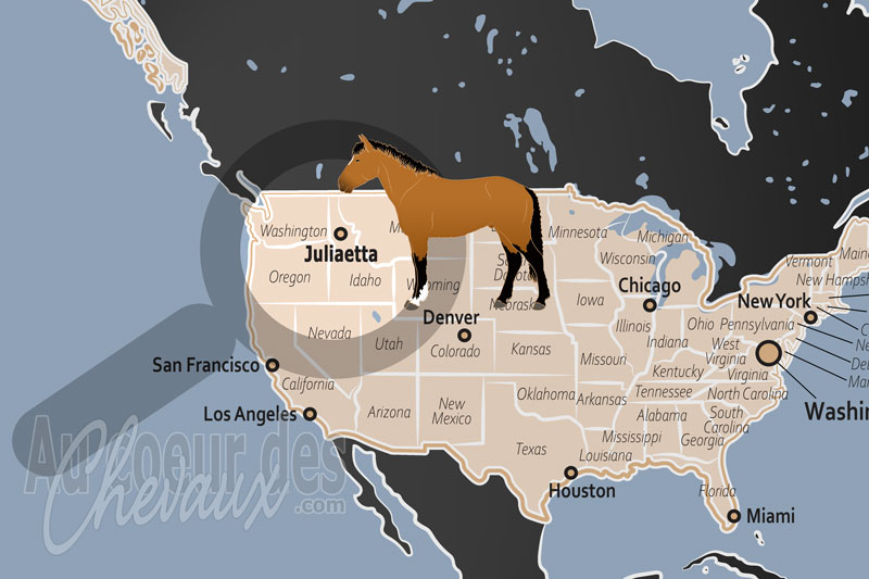 La localisation de Juliaetta aux �tats Unis