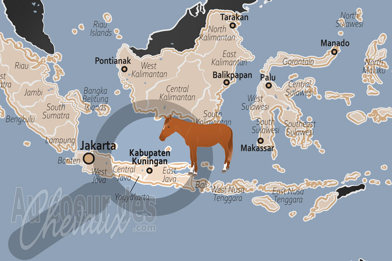 Le Kabupaten de Kuningan, la terre du cheval � si windu � et l'h�ritage de java ouest