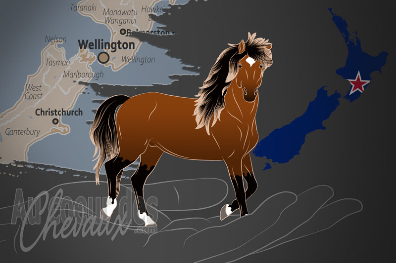 L'Association pour le Bien �tre des Chevaux Sauvages de Kaimanawa, une organisation qui g�re le cheval kaimanawa en nouvelle z�lande
