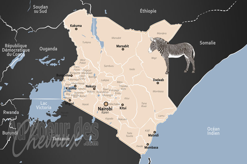 Le Kenya, entre prestige sportif et moteur de la vie rurale