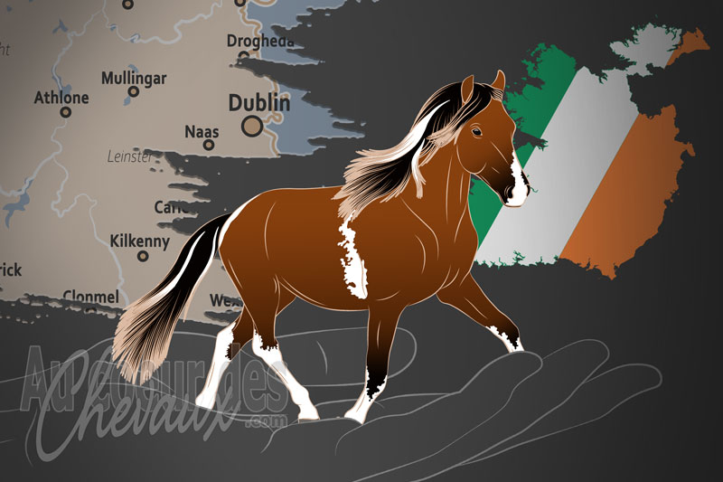 La Soci�t� Coop�rative du Kerry Bog, un organisme de gestion du kerry bog en irlande
