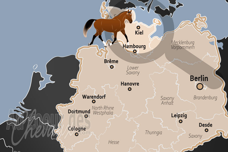 Kiel, carrefour de l'�levage holsteiner et de la science �questre en schleswig-holstein