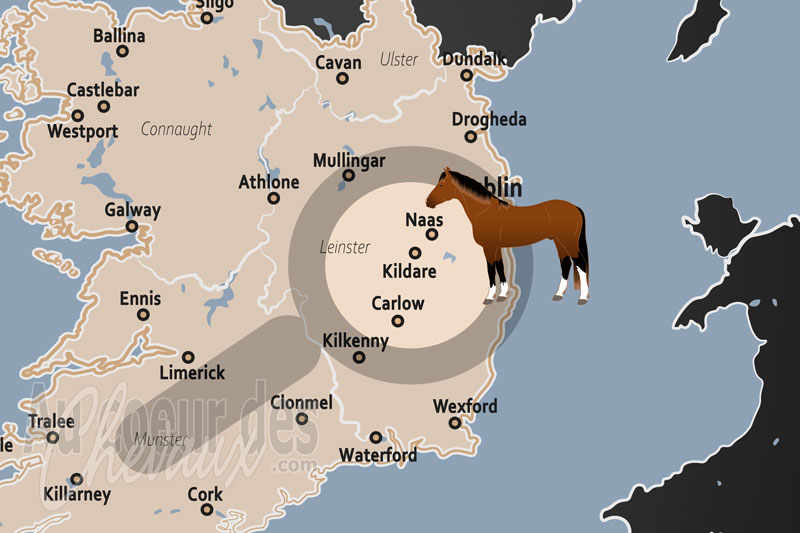 Kildare, la capitale mondiale du pur-sang et l'�me �questre de l'irlande