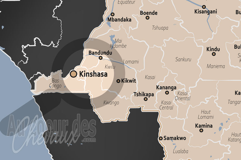 Kinshasa, l'�quitation entre h�ritage continental et d�fis tropicaux en afrique centrale