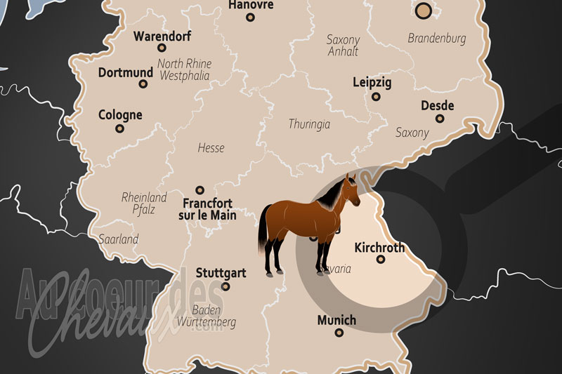 Kirchroth, excellence sportive et tradition �questre au c?ur du g�uboden bavarois