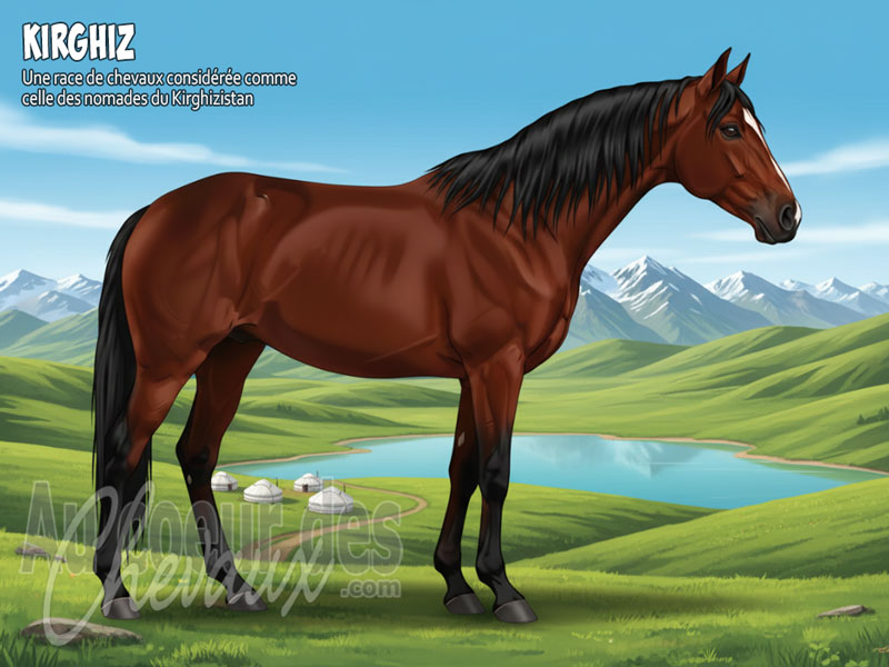 Le Cheval Kirghiz, le gardien des montagnes c�lestes