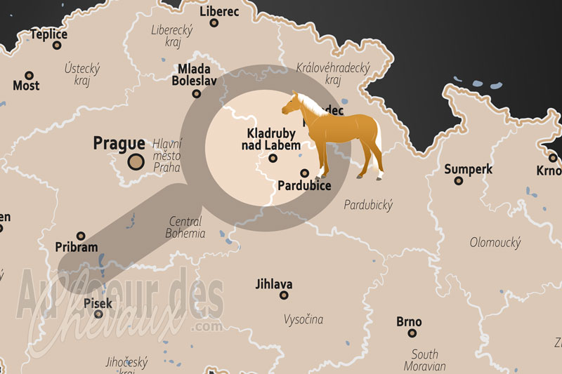 Kladruby nad Labem, sanctuaire mill�naire du cheval de c�r�monie et patrimoine mondial