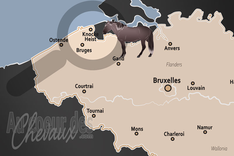 Knocke Heist, l'�picentre du prestige �questre et du saut d'obstacles international sur la c�te belge