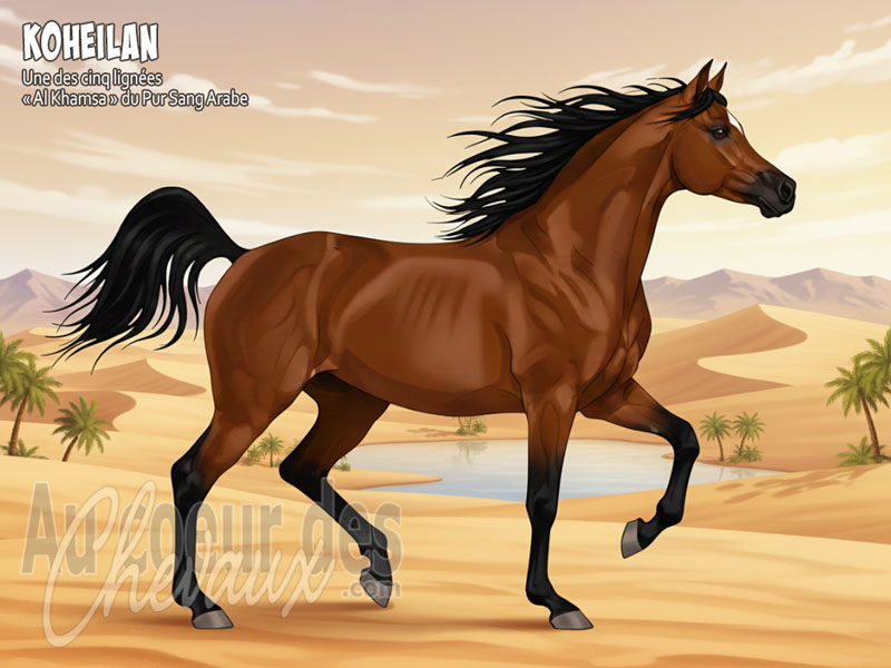Le Cheval Koheilan, la souche originelle de la puissance arabe
