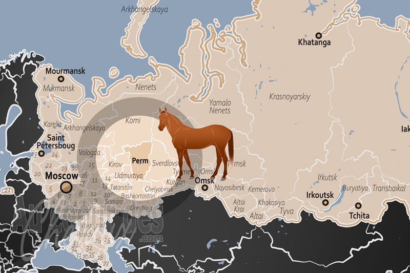 Le Kra� de Perm, forteresse du trotteur orlov et h�ritage des for�ts de l'oural