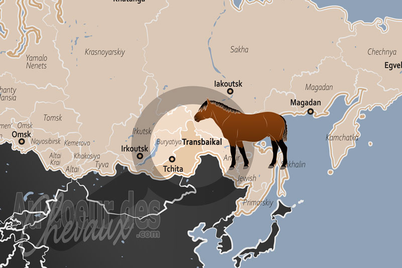 Le Kra� de Transba�kalie, forteresse du cheval de steppe et des traditions d'eurasie orientale