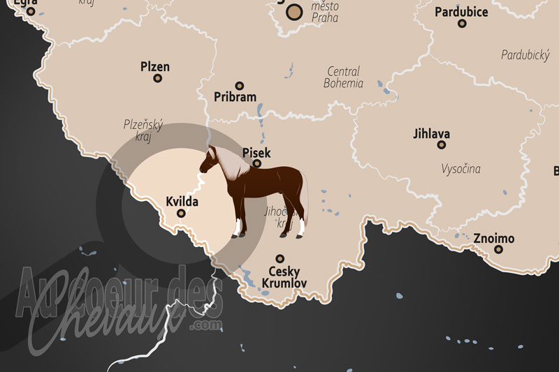 Kvilda, r�silience et tradition du cheval dans les hautes terres de la ?umava