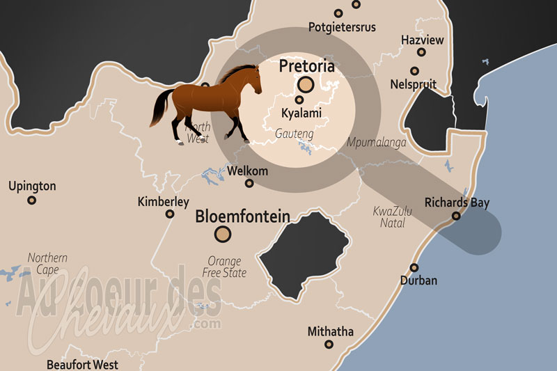 Kyalami, le c?ur battant de l'�quitation de prestige en afrique du sud