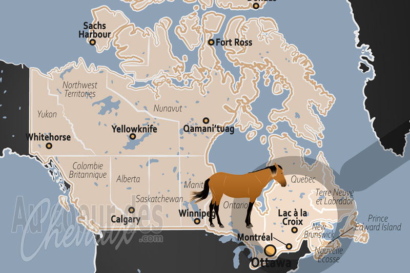 Le Lac � la Croix, l'odyss�e �questre au c?ur du lac � la croix