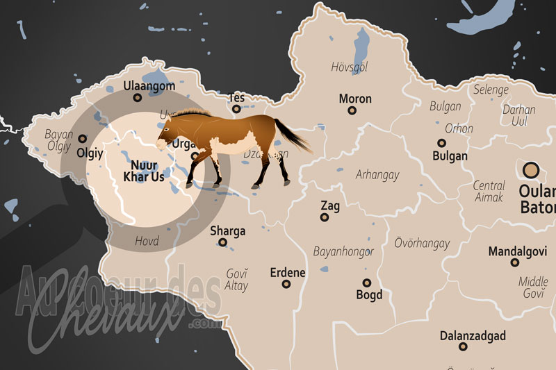 Le Lac Khar Us, le galop des crins sur l'�meraude des steppes de l'ouest