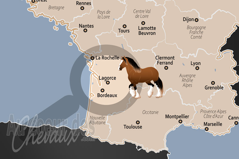 Lagorce, un haut lieu du concours complet et de l'excellence �questre en gironde