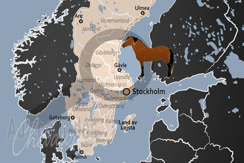 La Lande de Lojsta, le dernier galop des chevaux de for�t de l'�ge de fer