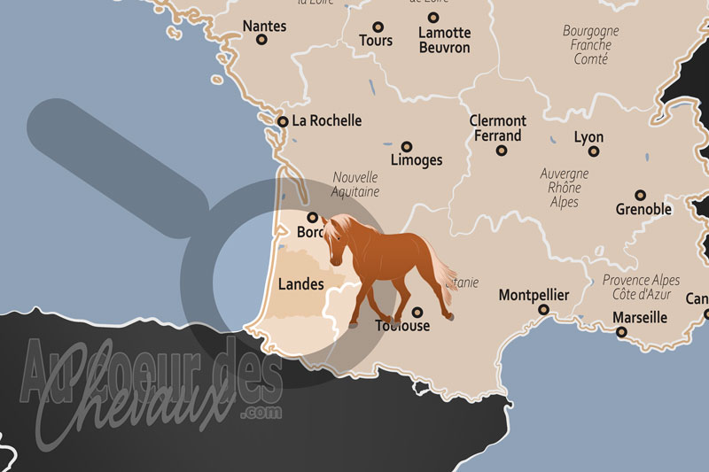 La localisation des Landes en France