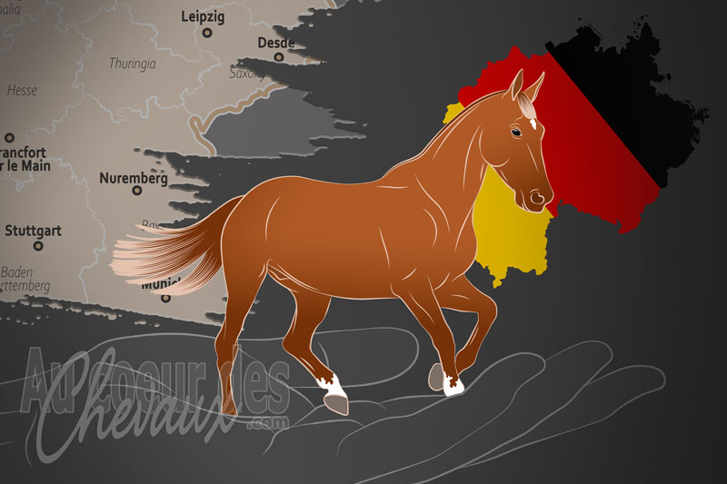 L'Association Nationale des �leveurs du Cheval Bavarois e.V., une organisation qui g�re le cheval bavarois en allemagne