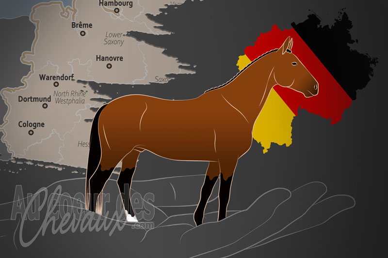 L'Association Nationale des Clubs d'�quitation et d'Attelage de Saxe Anhalt e.V., une organisation qui g�re le cheval saxe anhalt en allemagne
