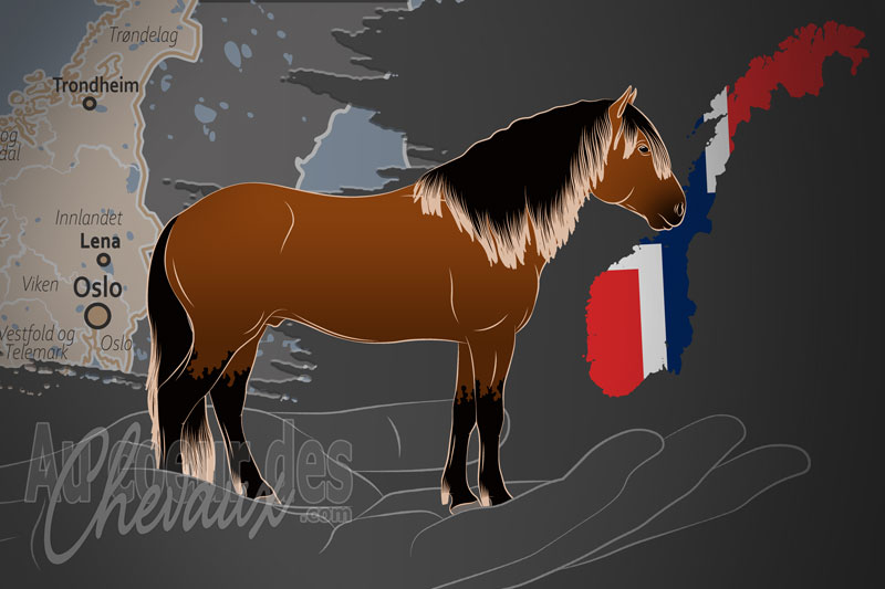 L'�quipe Nationale pour le cheval D�le, un organisme de gestion du d�le en norv�ge