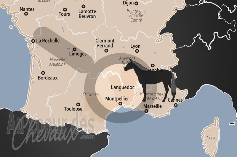 La localisation du Languedoc en France