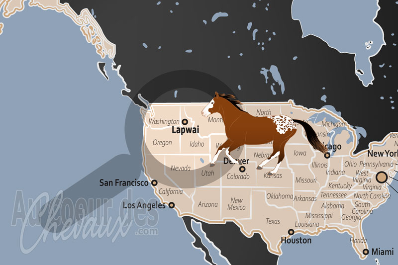 La localisation de Lapwai aux �tats Unis
