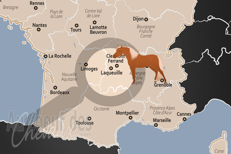 La localisation de Laqueuille en France