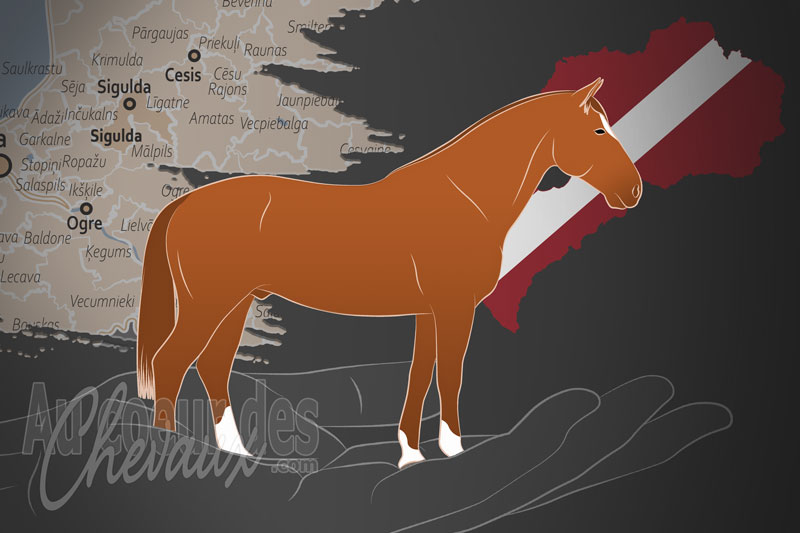 L'Association Lettone des �leveurs de Chevaux Skirne, un organisme de gestion du letton en lettonie