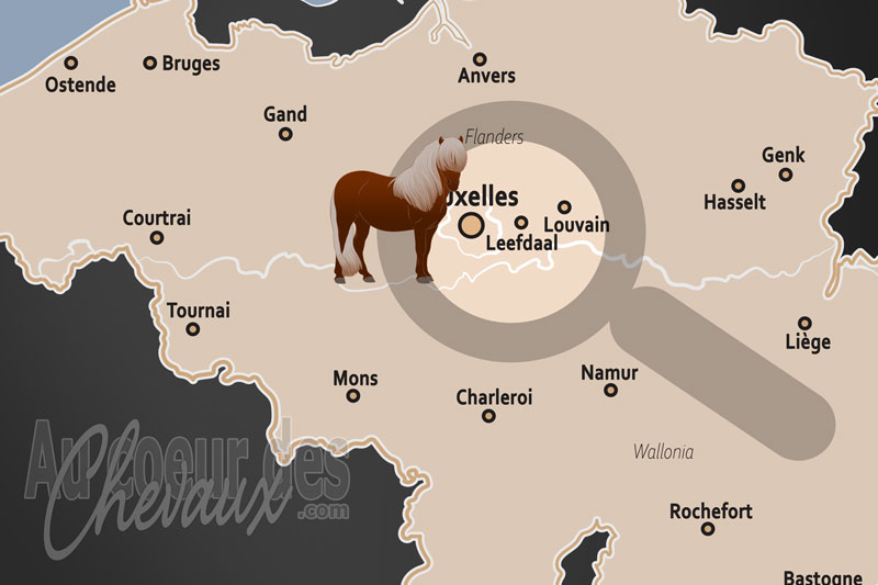 La localisation de Leefdaal en Belgique