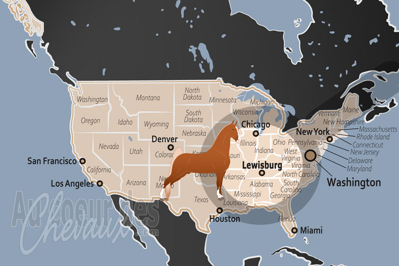 Lewisburg, le sanctuaire de l'enregistrement et le c?ur administratif du tennessee walking horse
