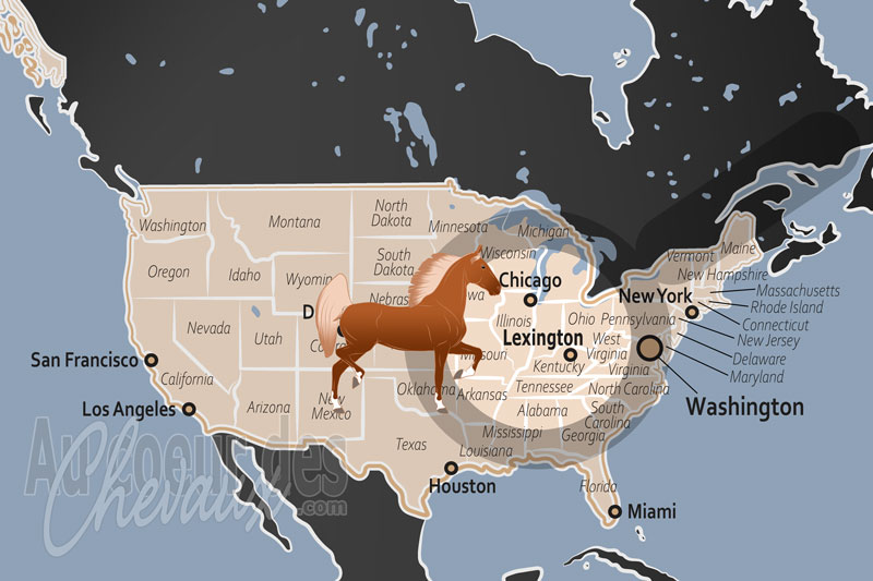 Lexington, l'�picentre mondial de l'�quitation et la capitale du pur-sang