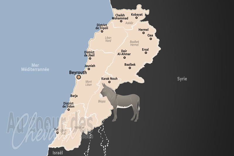 Le Liban, un patrimoine de noblesse entre tradition et r�silience