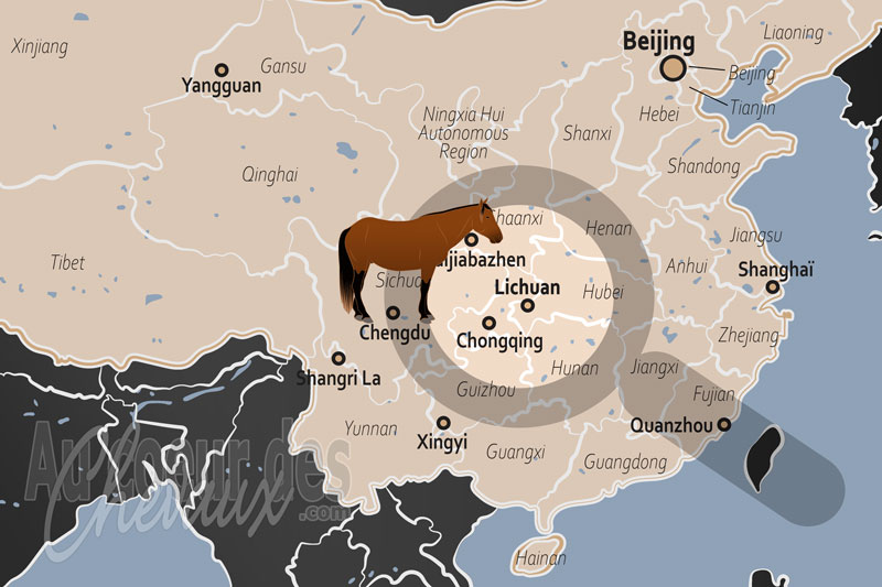 La localisation de Lichuan en Chine