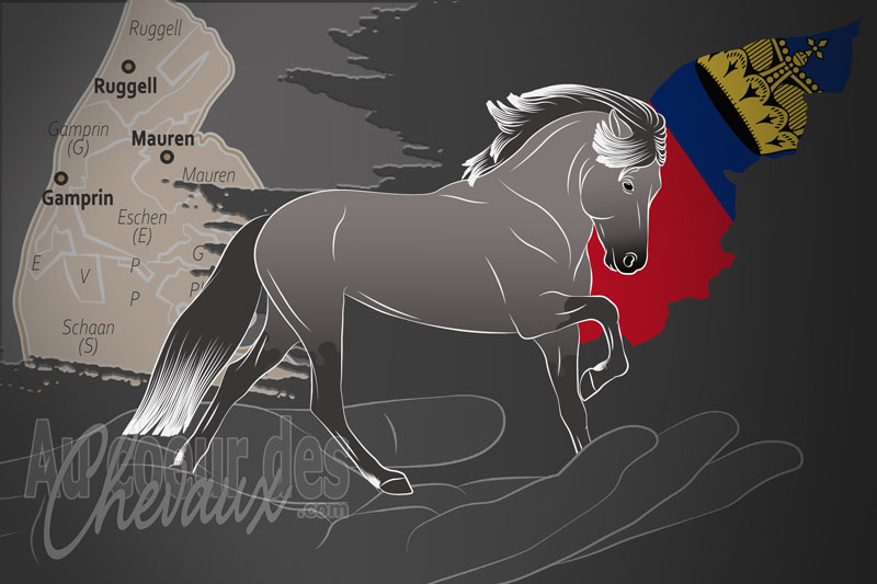 L'Association du Cheval Islandais du Liechtenstein, une organisation qui g�re le cheval islandais au liechtenstein