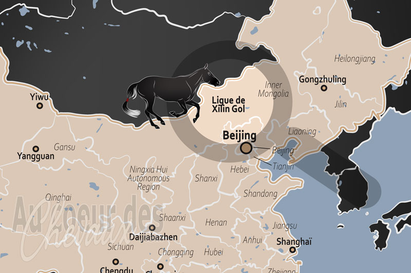 La Ligue de Xilin Gol, le sanctuaire de l'esprit du cheval mongol