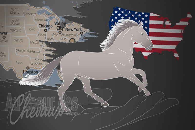 L'Association des Lipizzans d'Am�rique du Nord, un organisme de gestion du lipizzan aux �tats unis