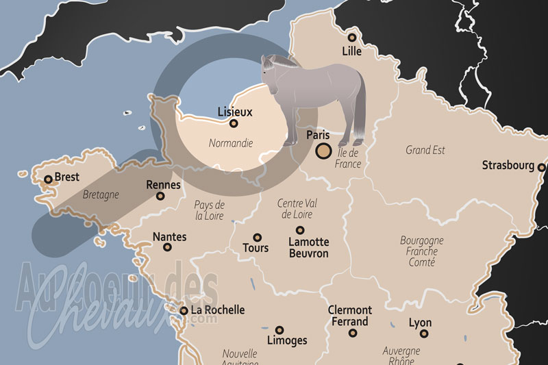 Lisieux, carrefour de l'excellence �quine au c?ur du pays d'auge