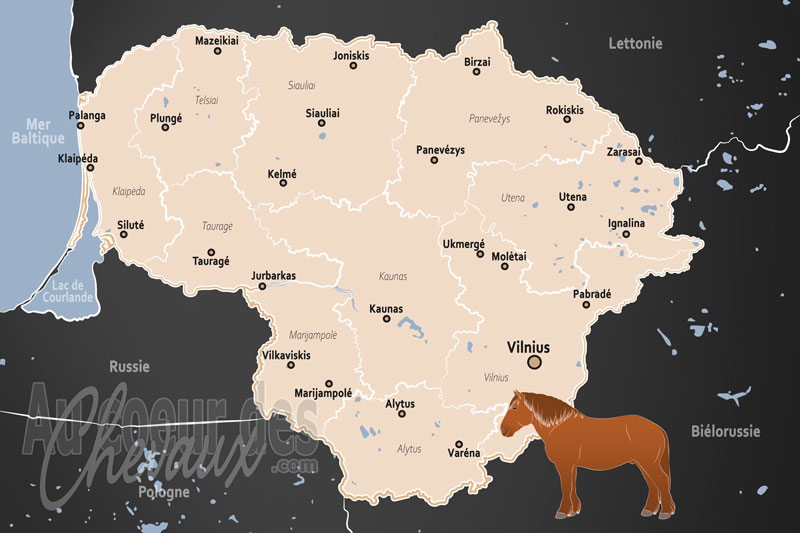 La Lituanie, entre symbole national et renaissance sportive