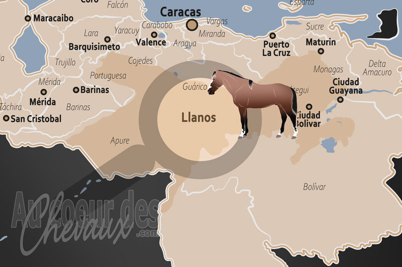 La localisation dans le pays de la R�gion des Plaines Centrales au Venezuela