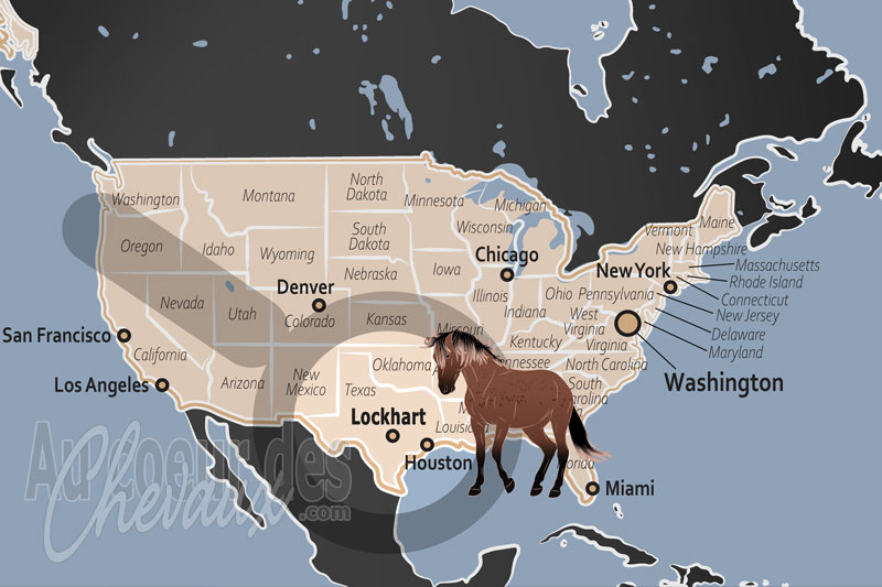 La localisation de Lockhart aux �tats Unis