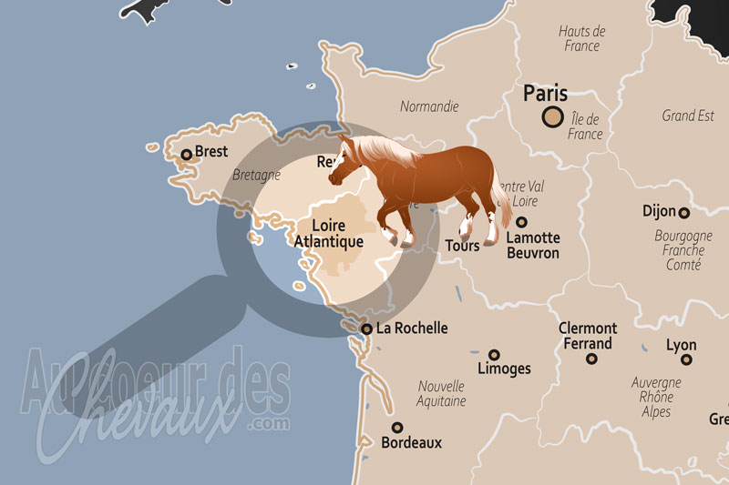 La localisation de la Loire Atlantique en France