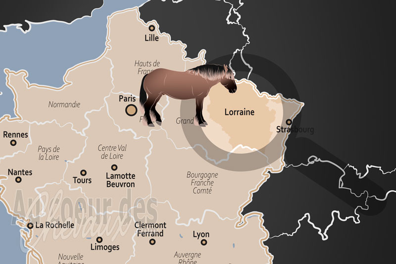 La localisation de la Lorraine en France