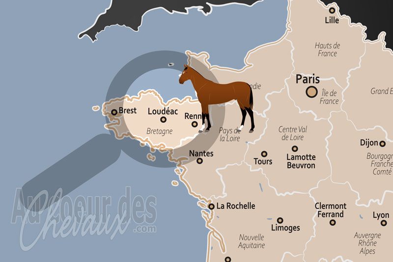 La localisation de Loud�ac en France