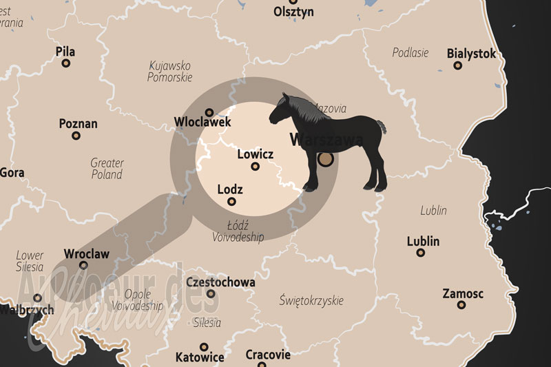 La localisation de Lowicz en Pologne