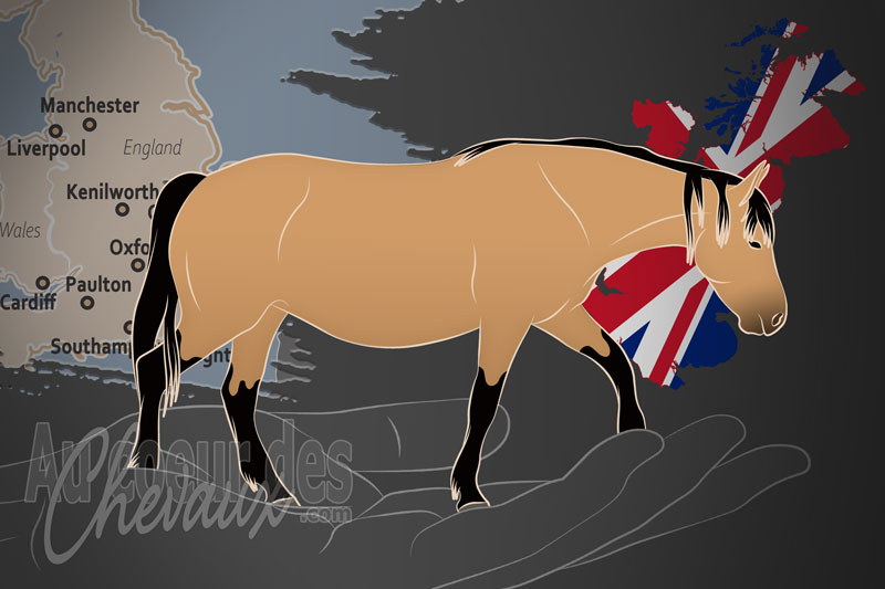 La Soci�t� de Pr�servation du Poney Lundy, un organisme de gestion du lundy au royaume uni