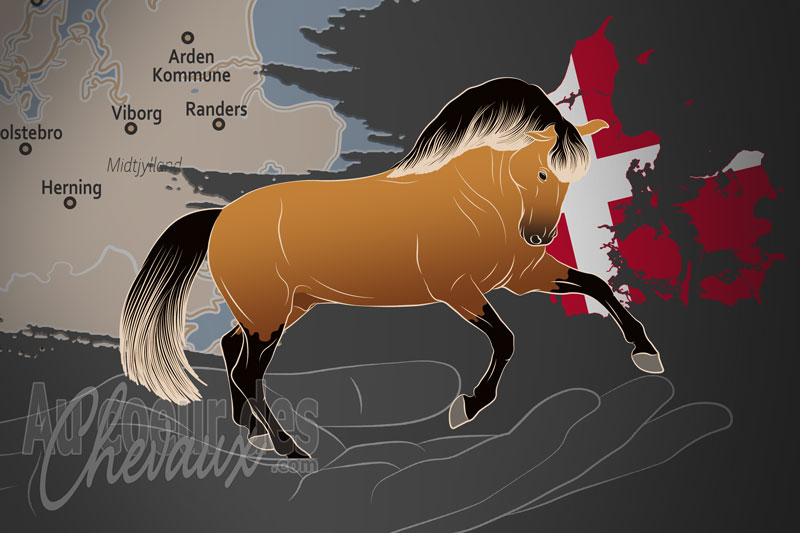 La Lusitano Foreningen Danemark un organisme de race au Danemark