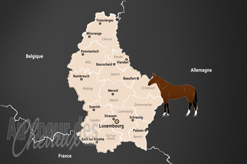 Le Luxembourg, entre tradition ardennaise et excellence sportive