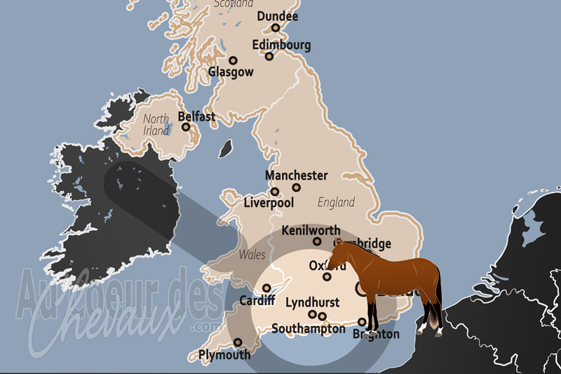 Lyndhurst, la capitale du new forest pony et de la tradition des commoners