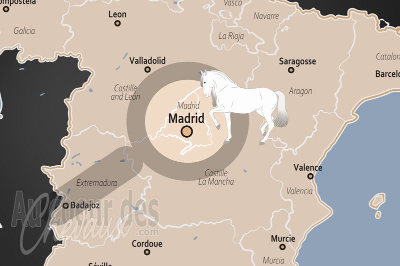 Madrid, l'�picentre de l'excellence �questre ib�rique